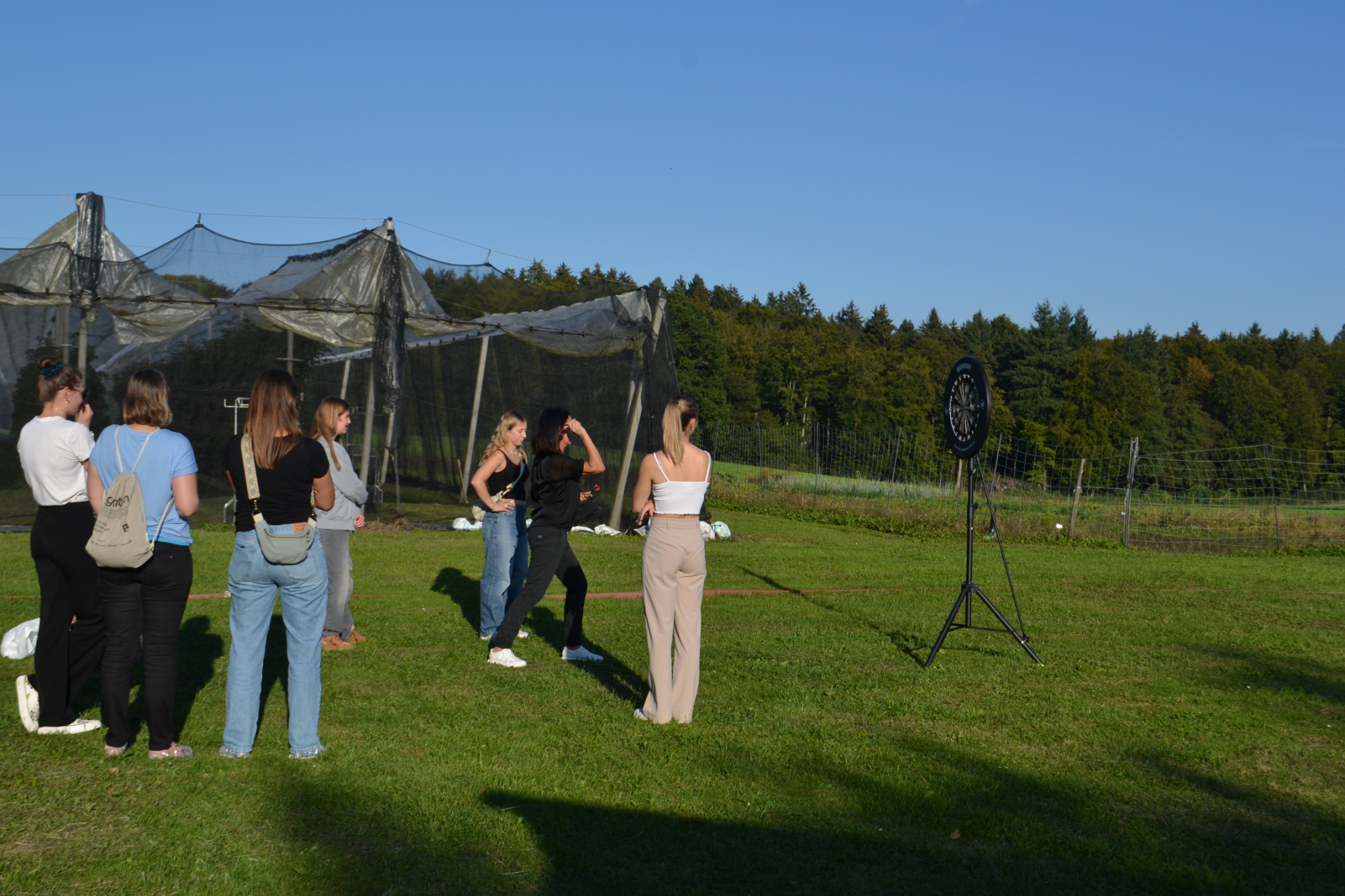 Bild (63)